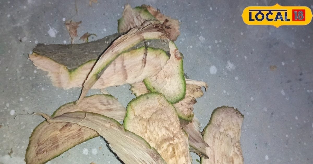 No medicine, now treatment will be available from tree bark …… Miraculous effects in sugar, BP and arthritis, know benefits