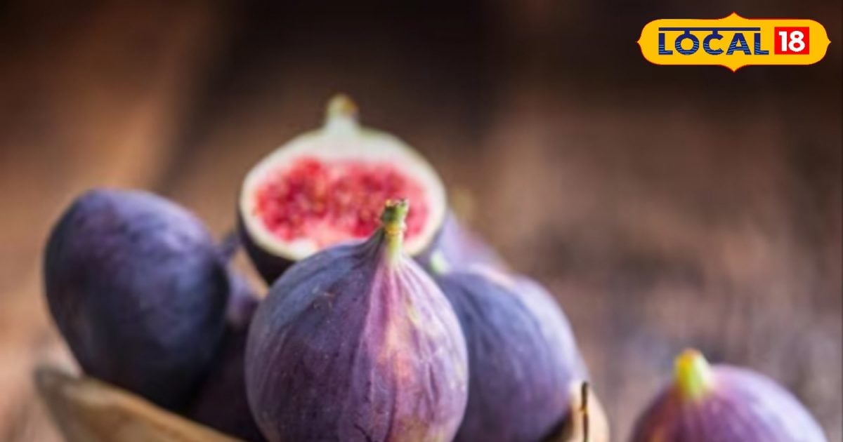 Health Benefits: Life is ‘Himalayan Figure’ for health, beneficial in lung disease and wound healing
