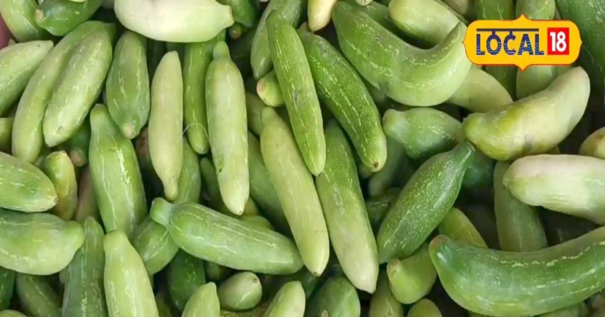 Benefits of Kundru | Kundru khane ke fayde | Only 3 months get vegetables, keep a strong from kidney to heart, boost the immune system, doctor counted benefits