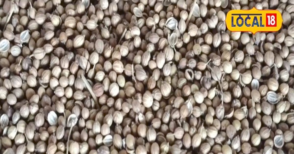 This spice present in the kitchen is miraculous medicine, from liver-kidney to diabetes, know the use
